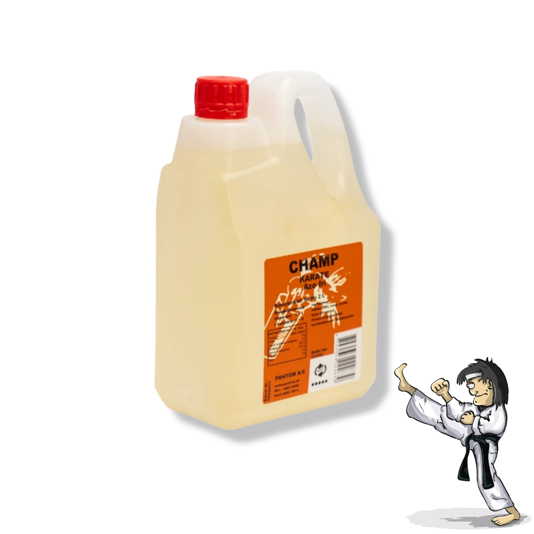 Champ kong fu / karate slushice