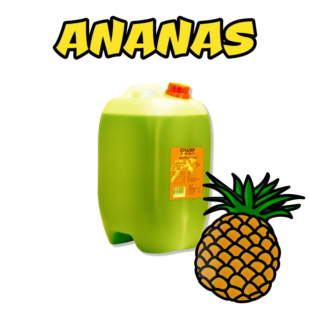 Ananas 10 liters slushice .jpg 2